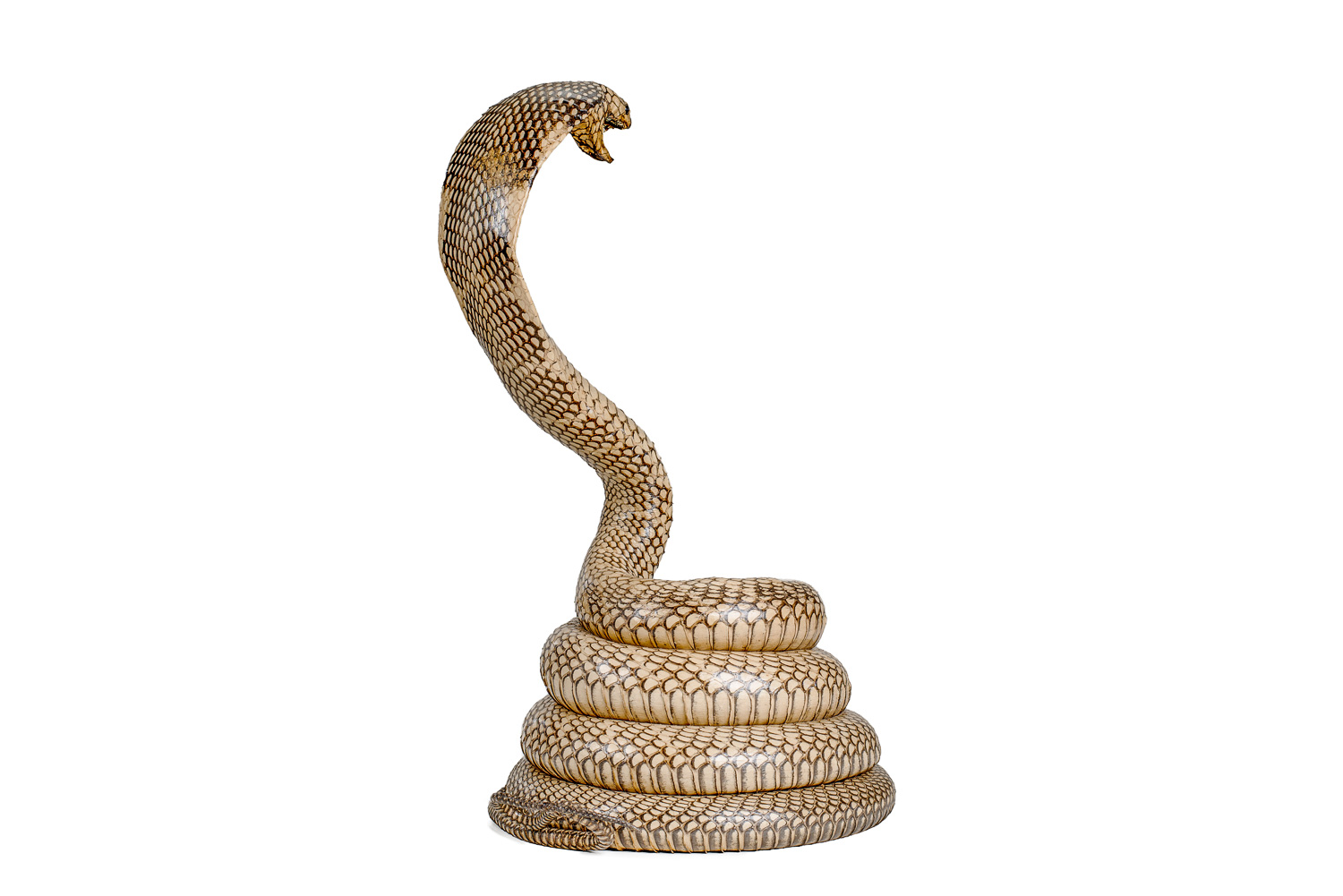 stuffed king cobra