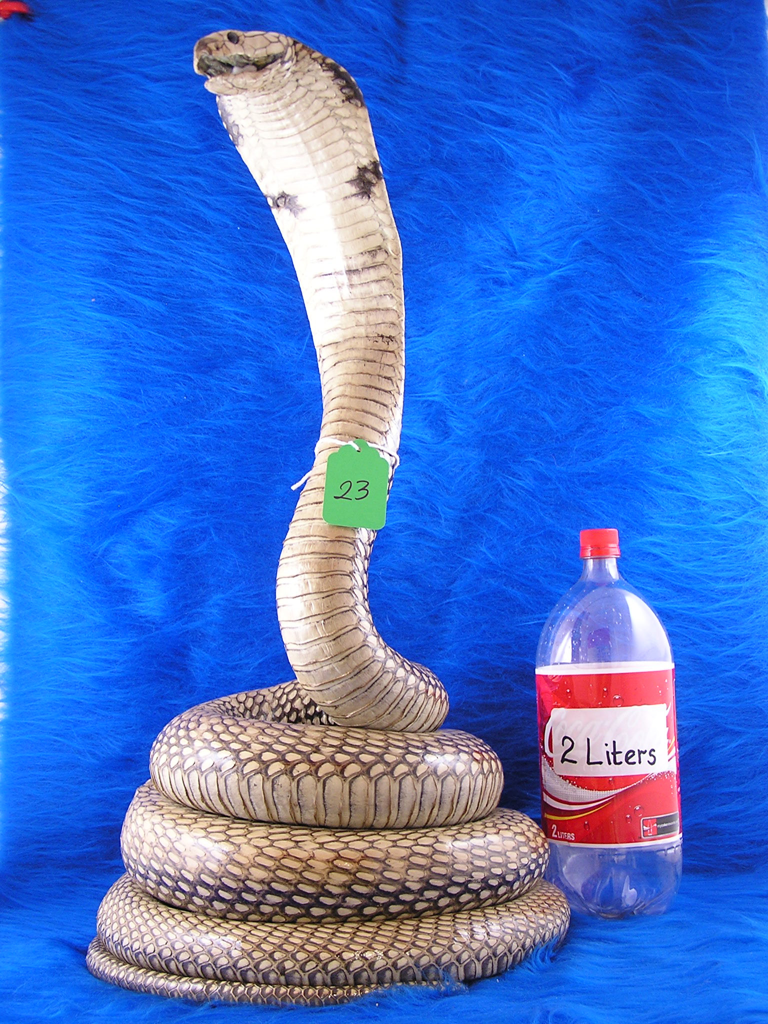 stuffed cobra