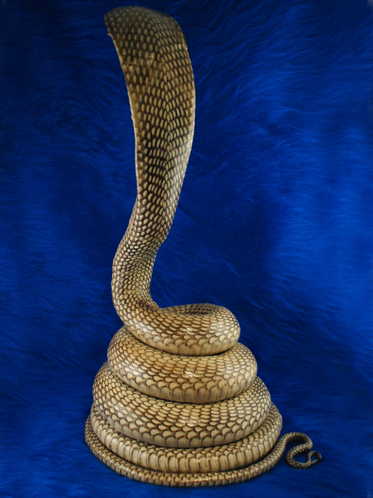 stuffed king cobra