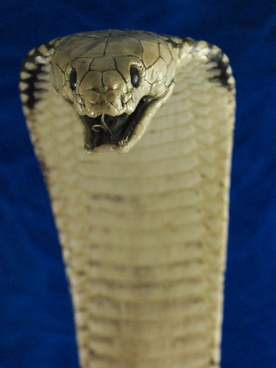 stuffed king cobra