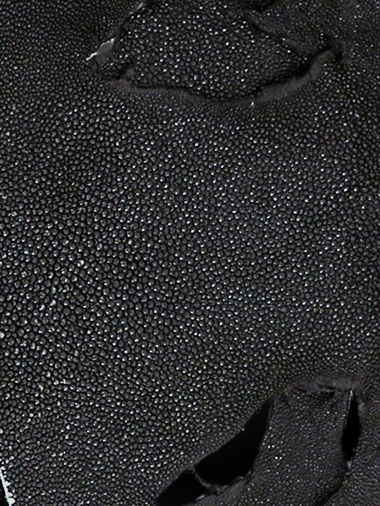 stingray leather hides