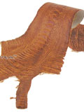 Implora Tan Ostrich Leg Skin