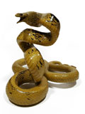 Copperhead Racer Snake Watching Style Taxidermy Mount